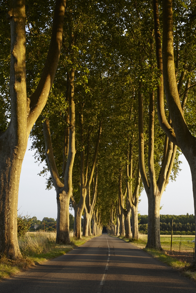 BlackLabel2015_France759